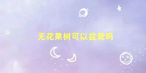 无花果树可以盆栽吗?(无花果树可以种盆里吗)